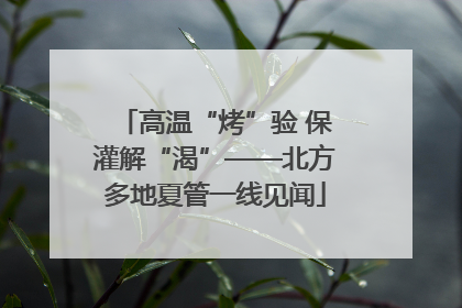 高温“烤”验 保灌解“渴”——北方多地夏管一线见闻