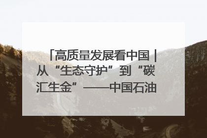 高质量发展看中国｜从“生态守护”到“碳汇生金”——中国石油大庆油田绿色蝶变
