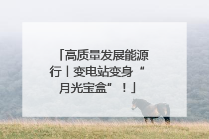高质量发展能源行丨变电站变身“月光宝盒”！