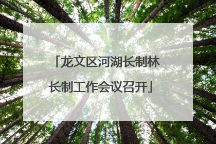 龙文区河湖长制林长制工作会议召开