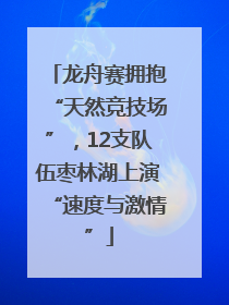 龙舟赛拥抱“天然竞技场”，12支队伍枣林湖上演“速度与激情”