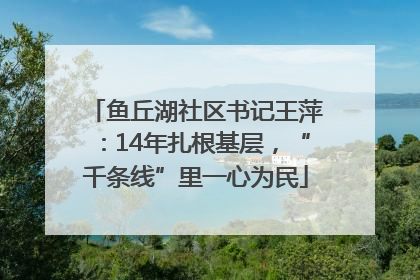 鱼丘湖社区书记王萍：14年扎根基层，“千条线”里一心为民