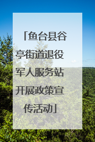 鱼台县谷亭街道退役军人服务站开展政策宣传活动