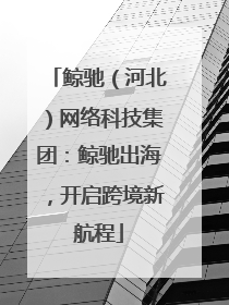 鲸驰（河北）网络科技集团：鲸驰出海，开启跨境新航程