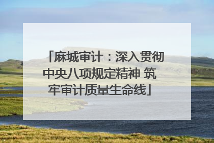 麻城审计：深入贯彻中央八项规定精神 筑牢审计质量生命线