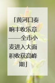 黄河口奏响丰收乐章——全市小麦进入大面积收获高峰期