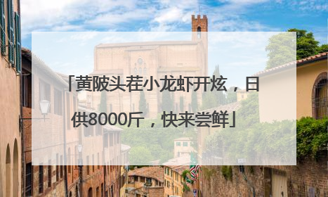 黄陂头茬小龙虾开炫，日供8000斤，快来尝鲜