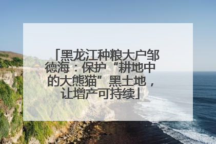 黑龙江种粮大户邹德海：保护“耕地中的大熊猫”黑土地，让增产可持续