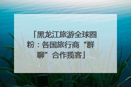 黑龙江旅游全球圈粉：各国旅行商“群聊”合作揽客