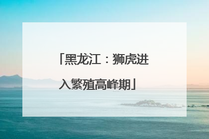 黑龙江：狮虎进入繁殖高峰期