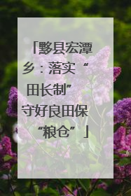 黟县宏潭乡：落实“田长制” 守好良田保“粮仓”
