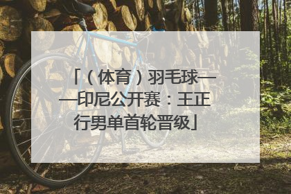 （体育）羽毛球——印尼公开赛：王正行男单首轮晋级