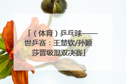 （体育）乒乓球——世乒赛：王楚钦/孙颖莎晋级混双决赛