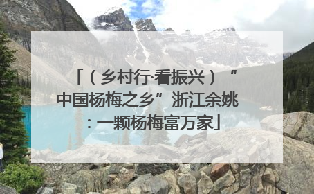 （乡村行·看振兴）“中国杨梅之乡”浙江余姚：一颗杨梅富万家
