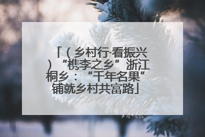 （乡村行·看振兴）“槜李之乡”浙江桐乡：“千年名果”铺就乡村共富路