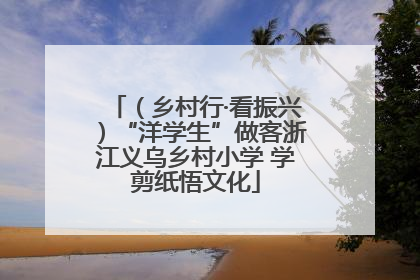 （乡村行·看振兴）“洋学生”做客浙江义乌乡村小学 学剪纸悟文化