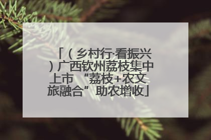 （乡村行·看振兴）广西钦州荔枝集中上市 “荔枝+农文旅融合”助农增收