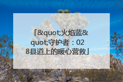 "火焰蓝"守护者：028县道上的暖心营救