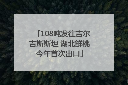108吨发往吉尔吉斯斯坦 湖北鲜桃今年首次出口