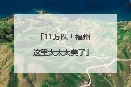 11万株！福州这里太太太美了