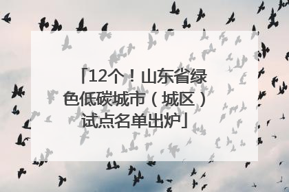 12个！山东省绿色低碳城市（城区）试点名单出炉