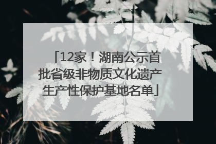 12家！湖南公示首批省级非物质文化遗产生产性保护基地名单