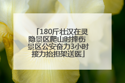 180斤壮汉在灵隐景区爬山时摔伤 景区公安奋力3小时接力抬担架送医