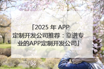 2025 年 APP 定制开发公司推荐：靠谱专业的APP定制开发公司