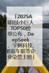 2025AI科技小巨人TOP50榜单公布，DeepSeek、宇树科技、蘑菇车联等企业荣誉上榜
