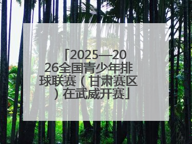 2025—2026全国青少年排球联赛（甘肃赛区）在武威开赛