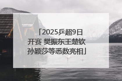 2025乒超9日开赛 樊振东王楚钦孙颖莎等悉数亮相