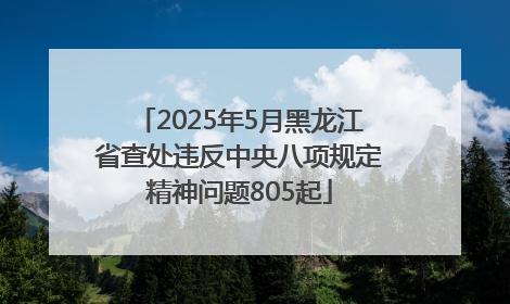2025年5月黑龙江省查处违反中央八项规定精神问题805起