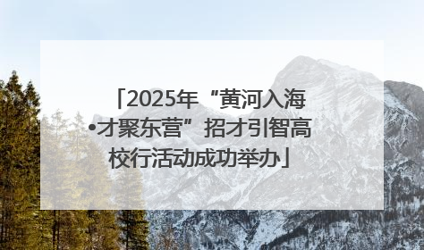 2025年“黄河入海•才聚东营”招才引智高校行活动成功举办