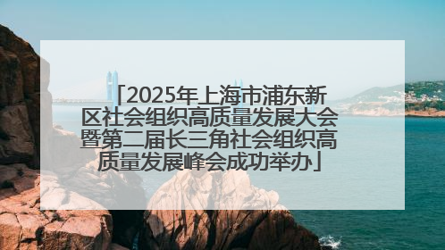 2025年上海市浦东新区社会组织高质量发展大会暨第二届长三角社会组织高质量发展峰会成功举办