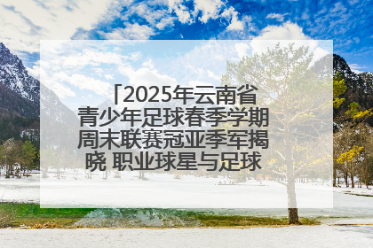 2025年云南省青少年足球春季学期周末联赛冠亚季军揭晓 职业球星与足球小将共享荣耀时刻