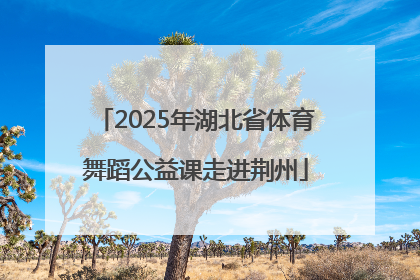 2025年湖北省体育舞蹈公益课走进荆州