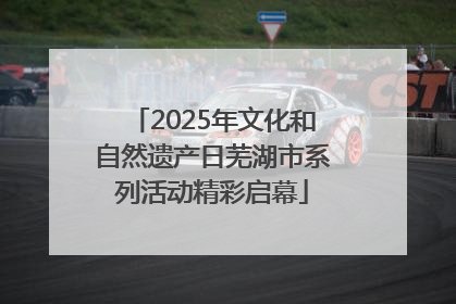 2025年文化和自然遗产日芜湖市系列活动精彩启幕