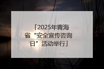 2025年青海省“安全宣传咨询日”活动举行