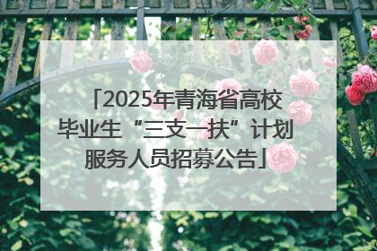 2025年青海省高校毕业生“三支一扶”计划服务人员招募公告