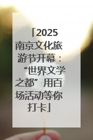 2025南京文化旅游节开幕：“世界文学之都”用百场活动等你打卡