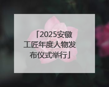 2025安徽工匠年度人物发布仪式举行