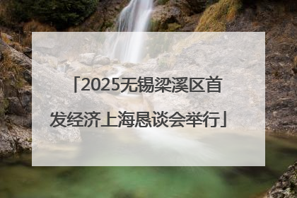 2025无锡梁溪区首发经济上海恳谈会举行