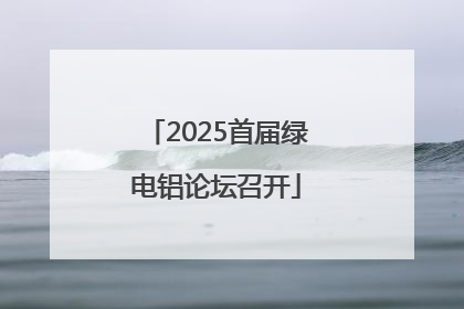 2025首届绿电铝论坛召开