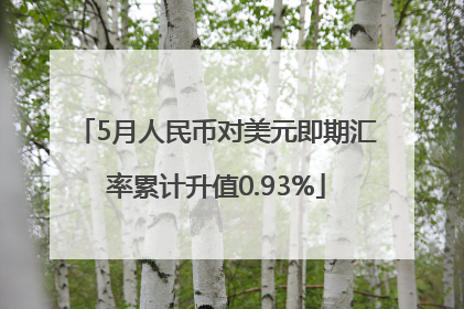 5月人民币对美元即期汇率累计升值0.93%