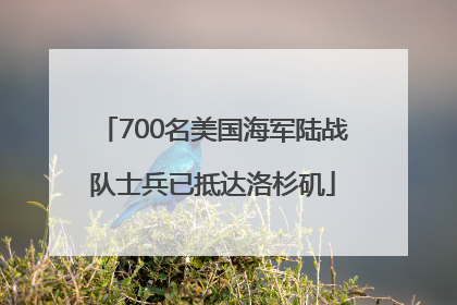 700名美国海军陆战队士兵已抵达洛杉矶