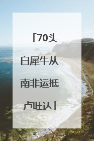 70头白犀牛从南非运抵卢旺达